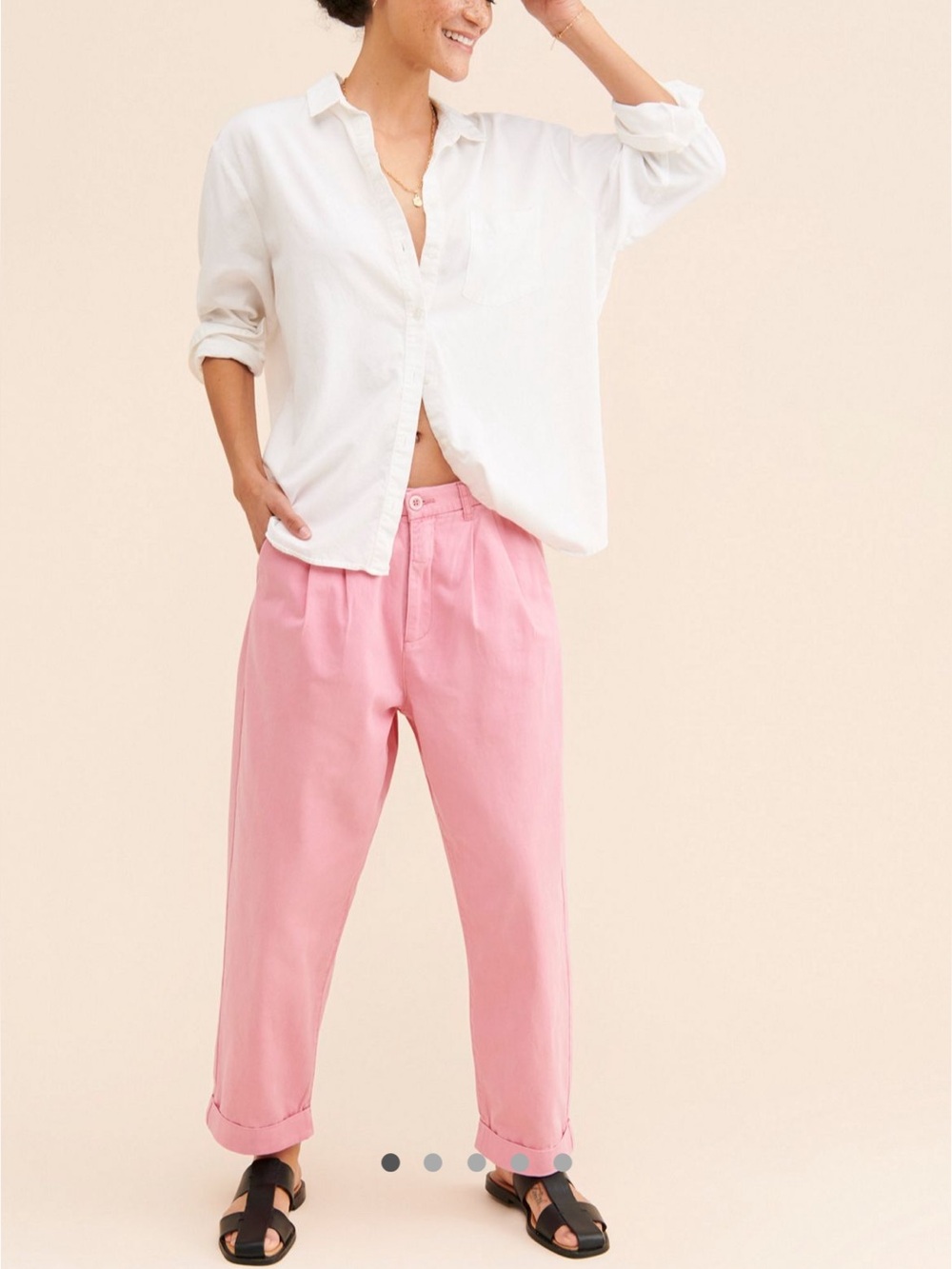Anthropologie Pistola Kellin Pleated Chinos Trousersw Pants in Pink Size 29